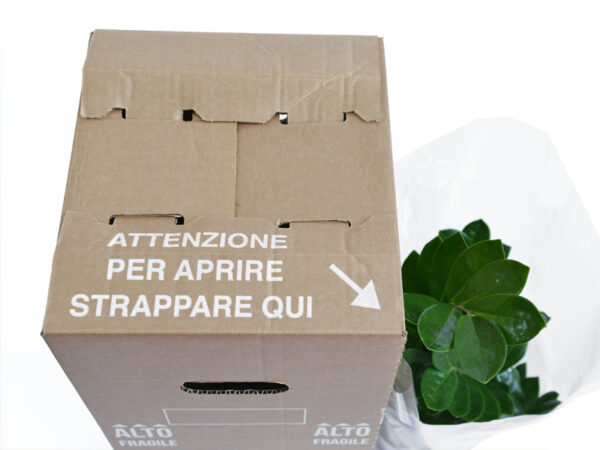 Fustellate pianta - immagine 4
