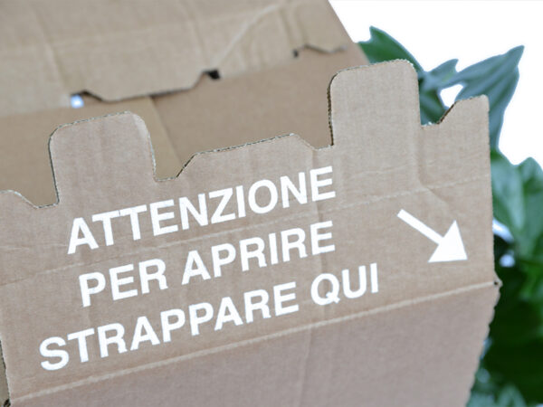 Fustellate pianta - immagine 3